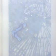 Martine Poppe