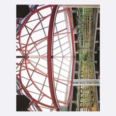 Isadora Neves Marques