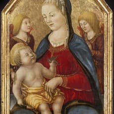 Familiare Del Boccati