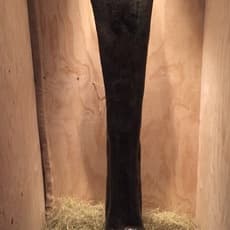 Harumi Klossowska de Rola