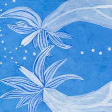 BuBu de la Madeleine