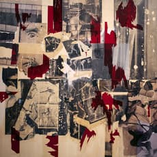 Maria Martinez-Cañas