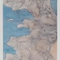 Wang Shaoqiang 王紹強