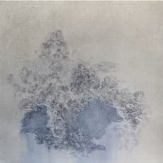 Zhang Tianjun
