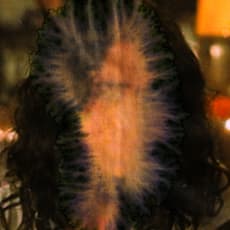 Sara Greenberger Rafferty