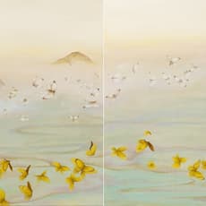 Pei-Cheng Hsu 許旆誠
