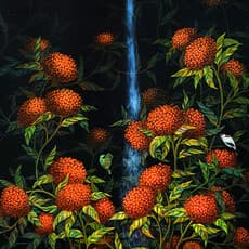 Jioh Choi