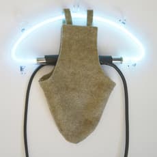 Wantanee Siripattananuntakul