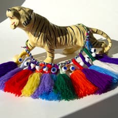 Victoria Ahmadizadeh Melendez