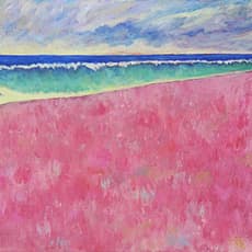 Fernando García Vásquez