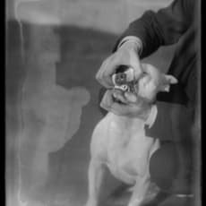 William van der Weyde