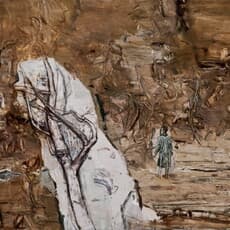 Hongtao Tu 屠宏涛