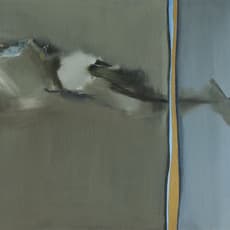 Joan Cundall Allen