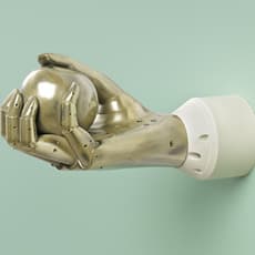 Aleksandra Domanović