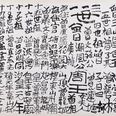 Tsang Tsou Choi 曾灶財 King of Kowloon