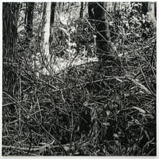 Takeshi Honda 本田 健