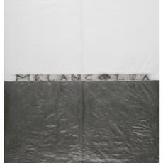 Angélica María Zorrilla