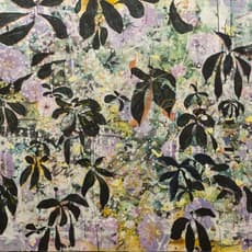 Nicholas Johnson