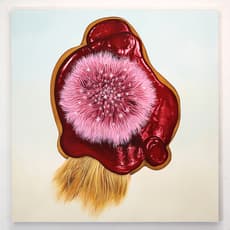 Rachel Fischer