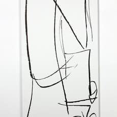 Aaron Garber-Maikovska