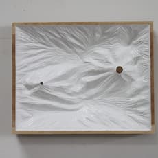 Shang Yixin 尚一心