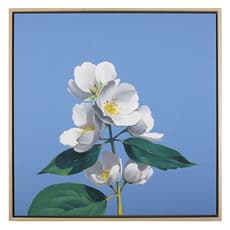 Louise Jones (Ouizi)