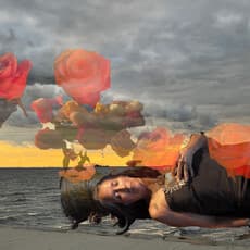 Yolanda Vasquez Petrocelli