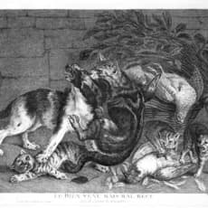 Pierre François Basan