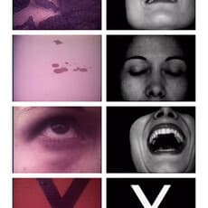 Anna Maria Maiolino, Twice: X&Y (1974/2022)