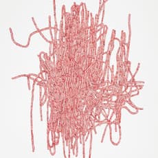 Julie Ouellet