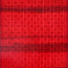 Jiang Weitao 蒋巍涛