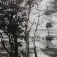 Chong Siew Ying