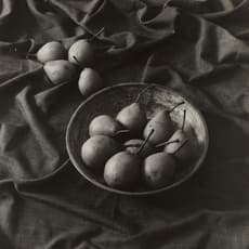 Jan Svoboda