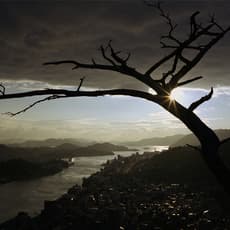 Wim Wenders