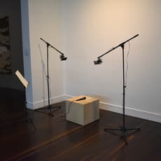 Beatriz Eugenia Díaz