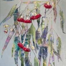 Kate Floyd