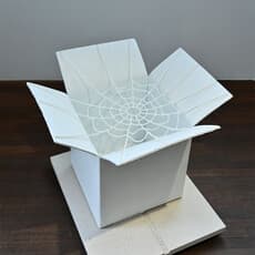 Huang Hankang 黄含康