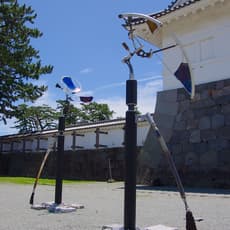 Hideo Ohsumi
