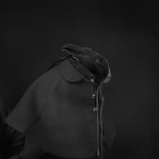 Kikai Hiroh