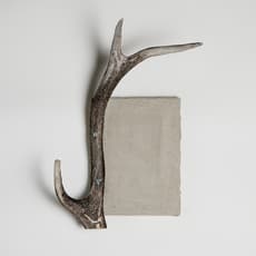 Karolina Latvytė-Bibiano