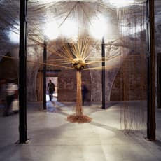 Yane Calovski & Hristina Ivanoska