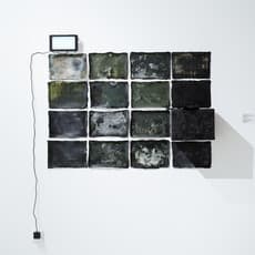 Sandra Golubjevaitė