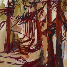 Amy Dryer