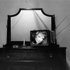 Lee Friedlander