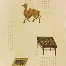 HALLEY CHENG 鄭哈雷