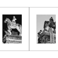 Celeste Rojas Mugica