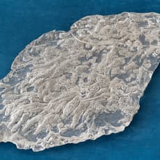 Alexia Laferté-Coutu