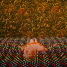David Cooley