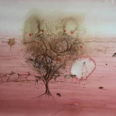 Ashish Kushwaha