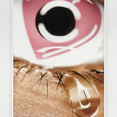 James Gregory Atkinson